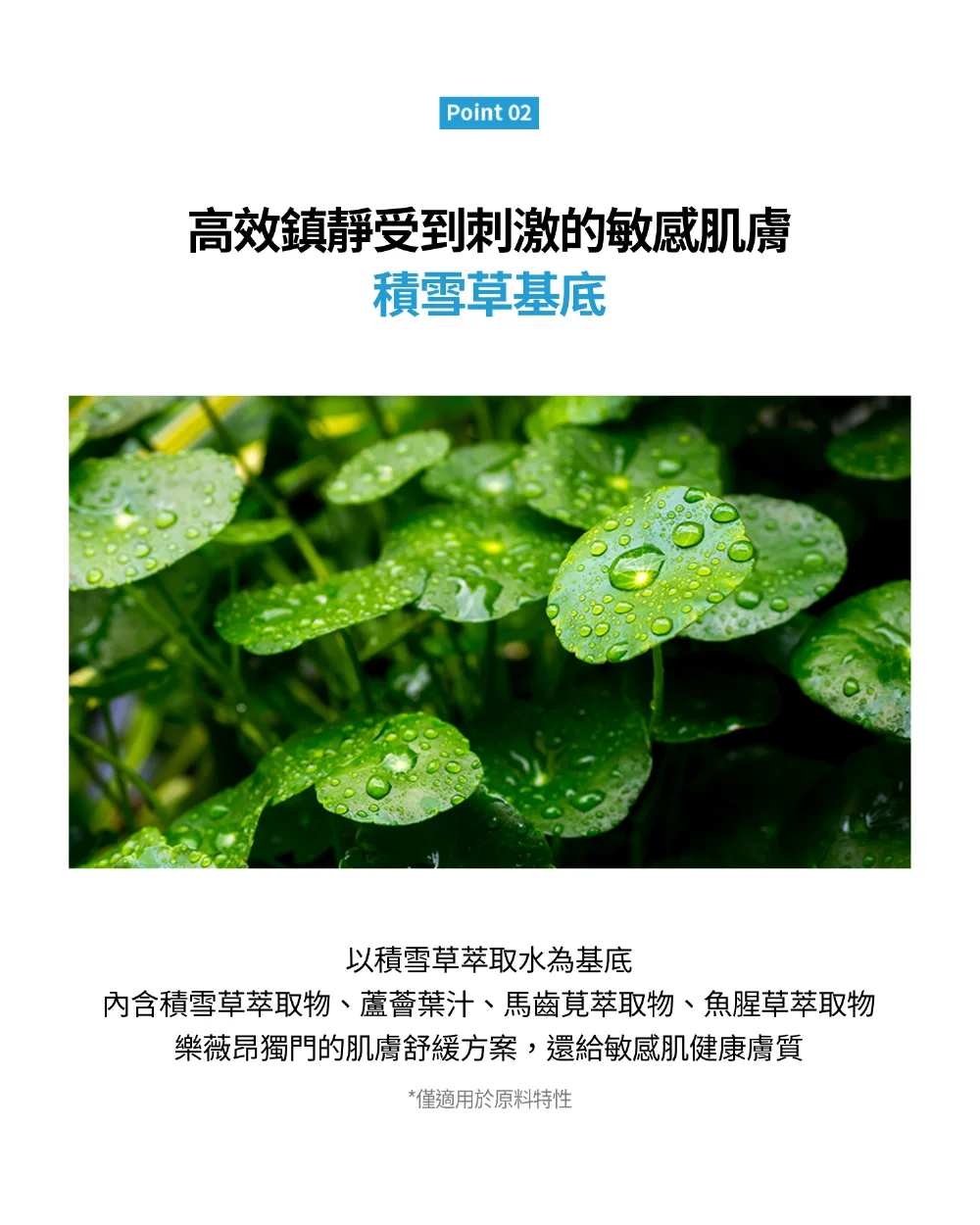 [面膜] 7/1~7/31 困擾黑頭粉刺，大毛孔 如何去除收斂毛孔計畫在樂薇昂 LAVIEN（照片 116）