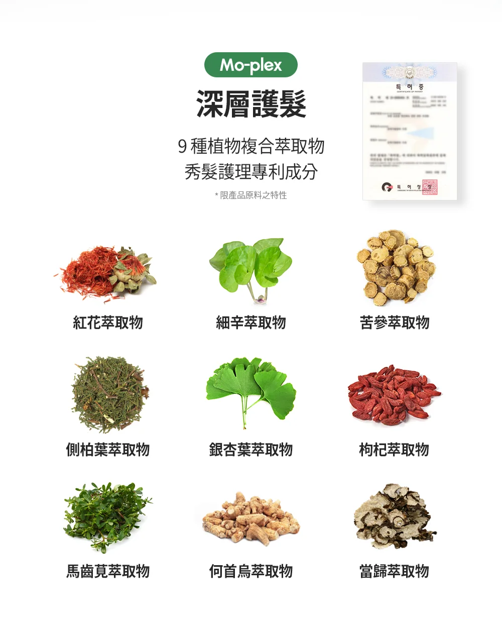 [面膜] 7/1~7/31 困擾黑頭粉刺，大毛孔 如何去除收斂毛孔計畫在樂薇昂 LAVIEN（照片 191）