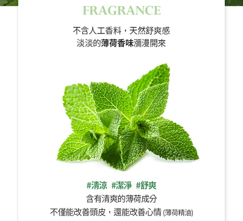 [面膜] 7/1~7/31 困擾黑頭粉刺，大毛孔 如何去除收斂毛孔計畫在樂薇昂 LAVIEN（照片 193）